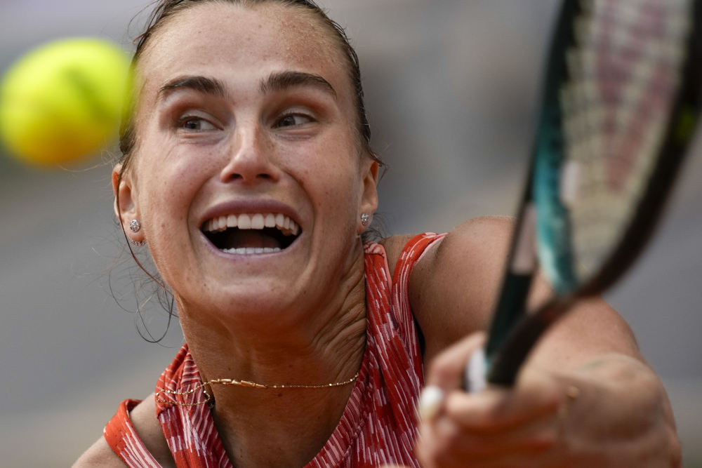 供了宝贵的 供了宝贵的