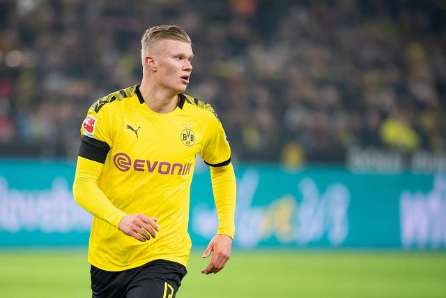 在北岸的风 在北岸的风